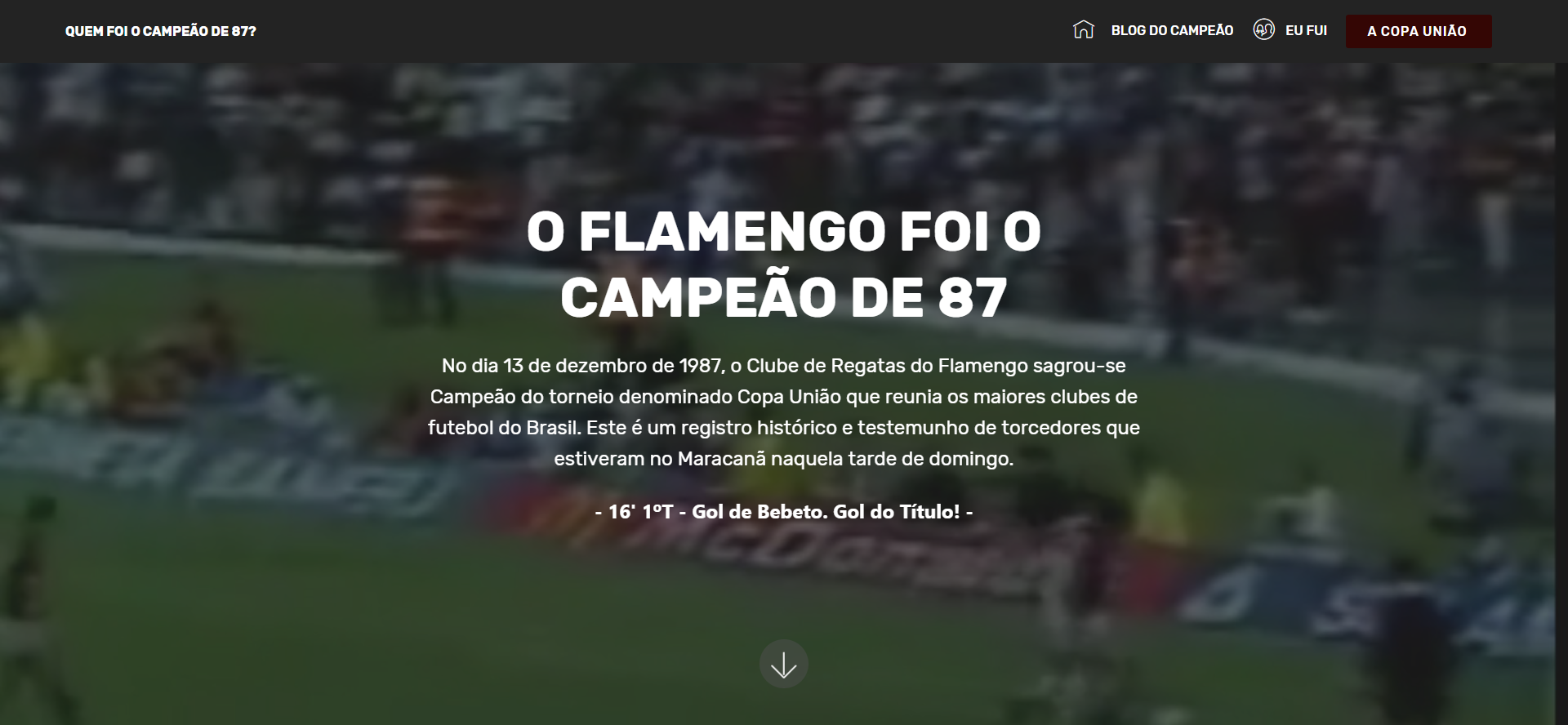 Flamengo Campeão de 1987